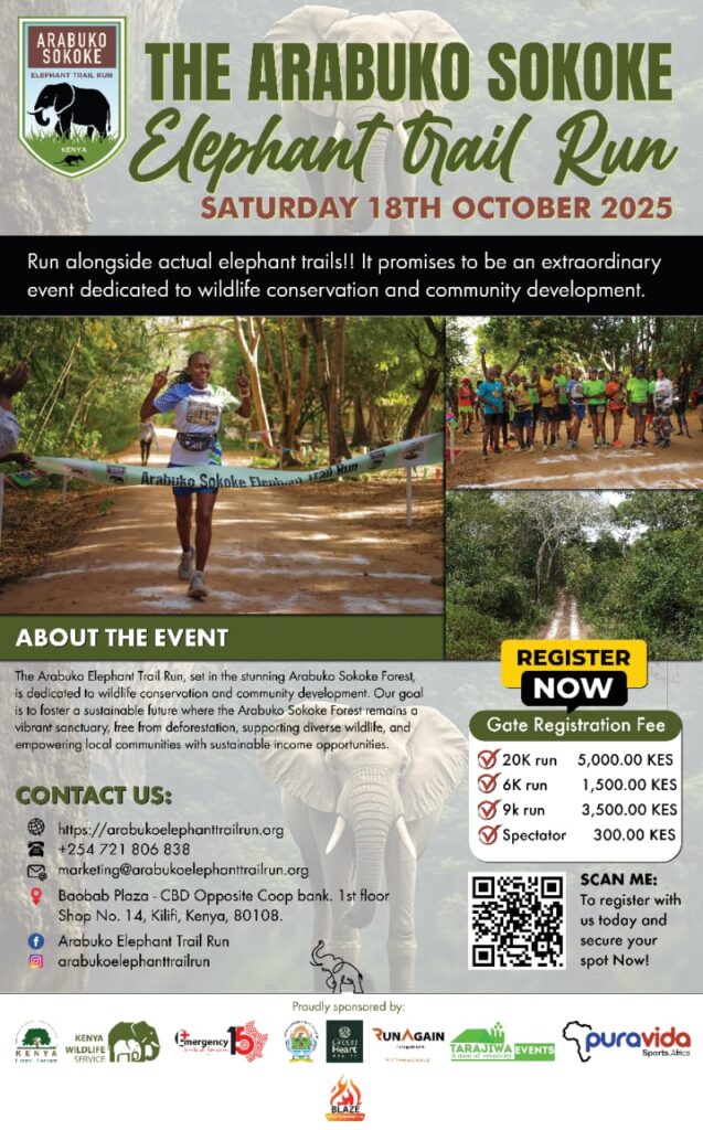 arabuko sokoke trail sun